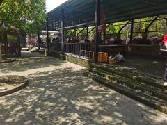 -武汉紫薇都市田园