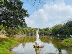 -番禺大夫山森林公园