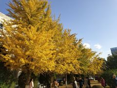 -辽宁大学(崇山校区)