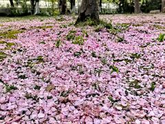 -苏州河梦清园环保主题公园