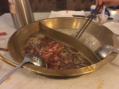 -秦池天下特色火锅(东葛望园店)