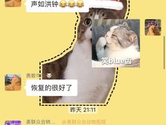 -美联众合动物医院·24h转诊中心