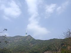 -梧桐山风景名胜区
