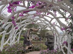 -亚龙湾国际玫瑰谷