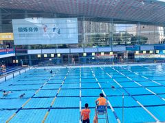 -南山文体中心-游泳馆