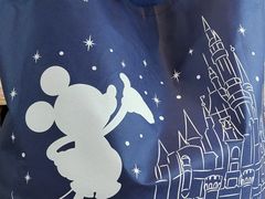 -迪士尼小镇