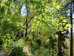 -莫干山风景区
