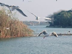 -渤公岛生态公园