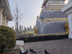 -洛阳白马寺