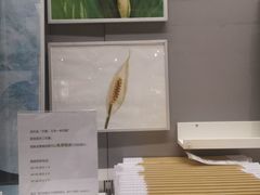 -IKEA宜家家居(南京商场)
