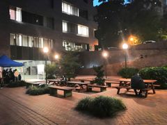 -香港大学