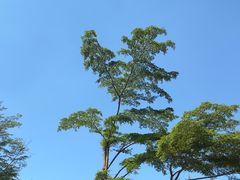 -五矿哈施塔特文旅小镇