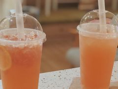 西柚米酿-滚猫咖啡·猫咖·猫友好撸猫(未来城店)