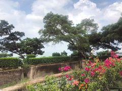 -胡里山炮台