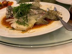 -黄埔华苑酒家(黄埔店)