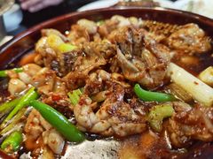 馋嘴蛙-红京鱼(西坝河店)