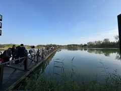 -溱湖国家湿地公园
