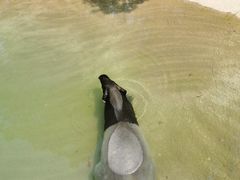 -杭州野生动物世界