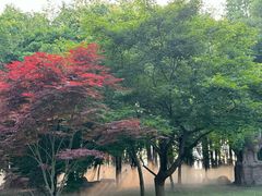 -东湖落雁景区
