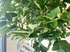 -fishtank鱼缸咖啡(三山街店)
