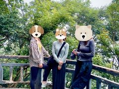 -紫金山山顶公园