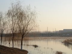 -东郊湿地公园