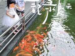 -南宁荔园维景国际酒店·荔园中餐厅