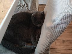 -春笙食堂.丼饭拉面寿司(GOGO新天地店)