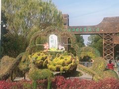 -溱湖国家湿地公园