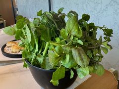-蚝大仙横琴生蚝火锅(日月贝店)