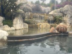 -凤翔首邑温泉度假村