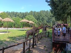 -北京野生动物园