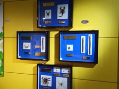 -上海昆虫博物馆