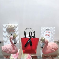 -MIDA蜜哒•科技逆龄美肤连锁