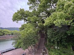 -蒋氏故居