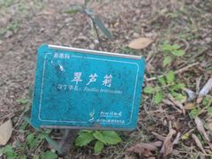 -杭州植物园