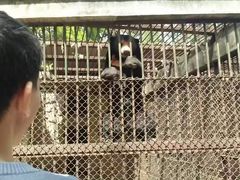 -昆明动物园