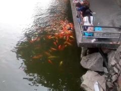 -珠海圆明新园