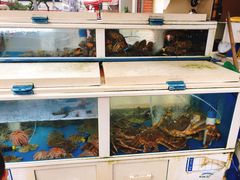 -真情鲍鱼海鲜汤