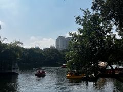 -荔湾湖公园