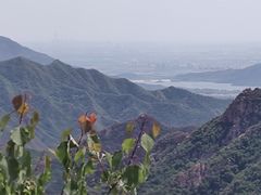 -大岭沟猕猴桃谷风景区