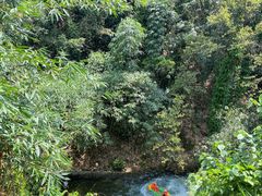 -清泉湾生态旅游度假区