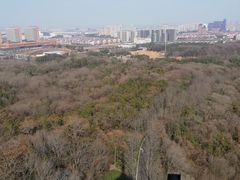 -宜兴龙背山森林公园