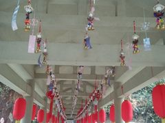 -九龙江国家森林公园