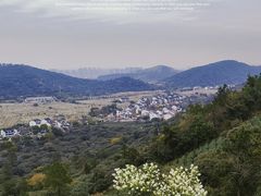 -树山生态村