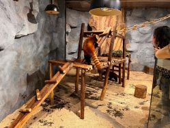 -Zoolung Zoolung动物主题公园(海信广场店)