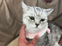 -怪兽屋·羊驼·猫咖·狗咖(俊华广场店)