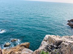 -广东惠东海龟国家级自然保护区