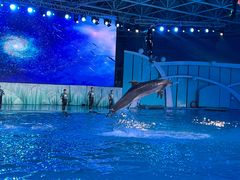 -海合安青岛极地海洋公园