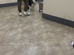 -美联众合动物医院·24h转诊中心